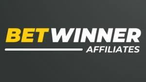 Como Aumentar Suas Chances com Betwinner Betting